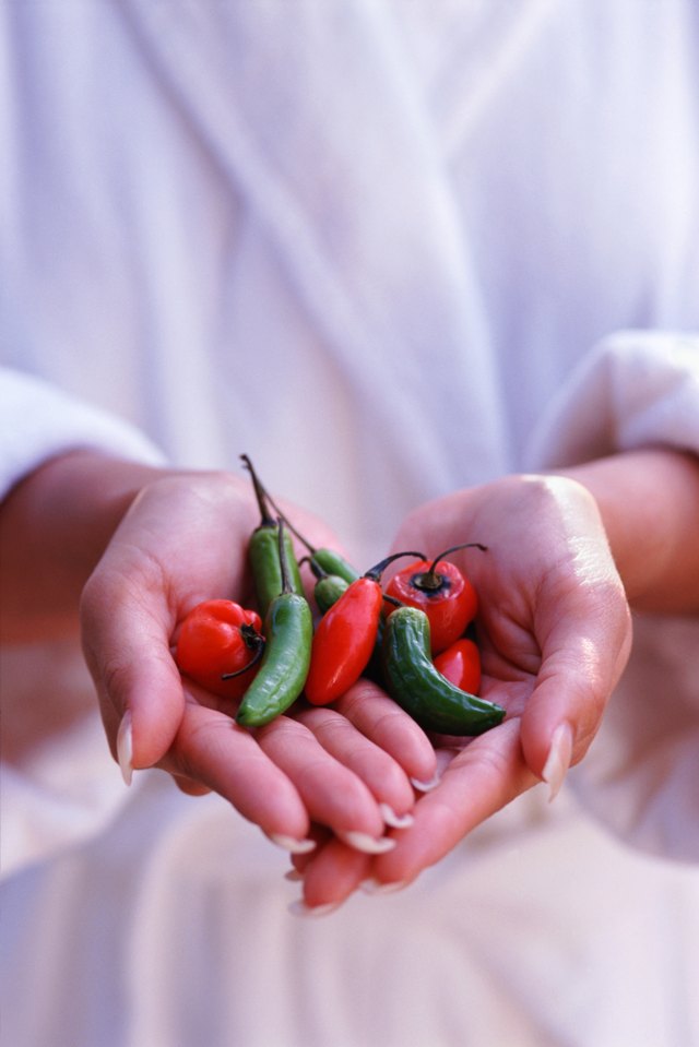 Hands holding hot peppers