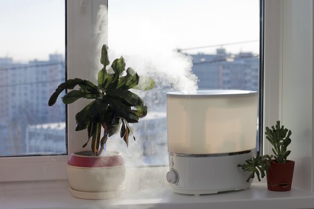 how-to-clean-humidifier-mold-livestrong