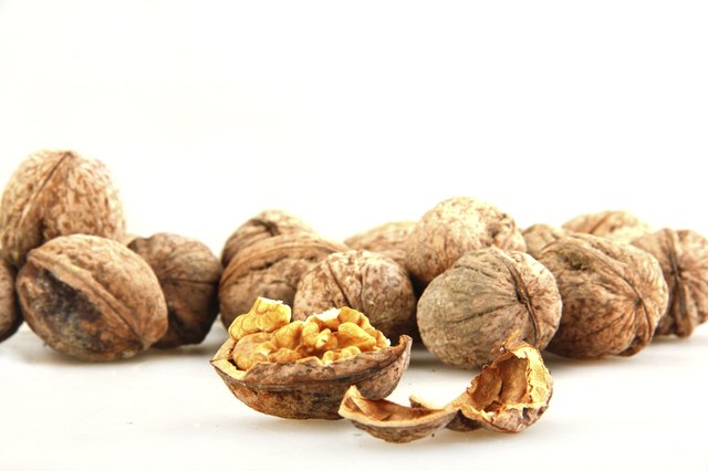 Group of walnuts Isolated on White Background