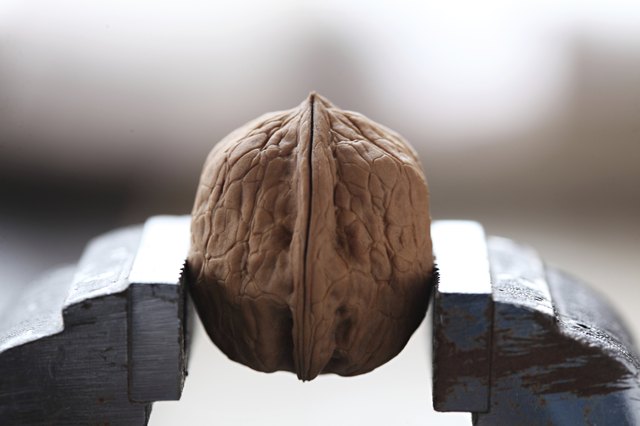 Walnuts in a vise