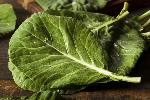 Can Collard Greens Cause Bloating Livestrong can-collard-greens-cause-bloating-livestrong