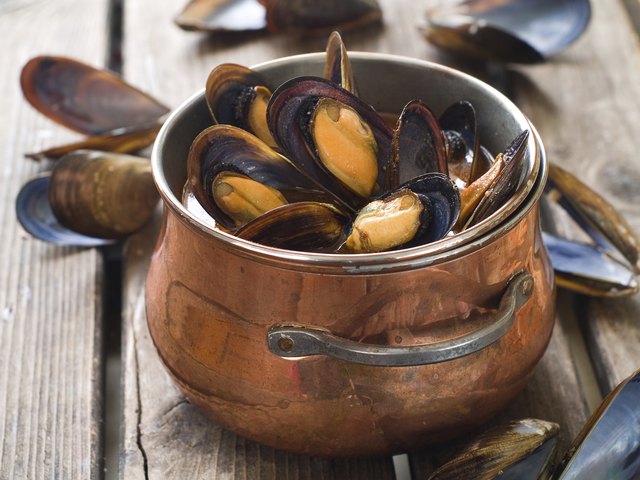 Mussels