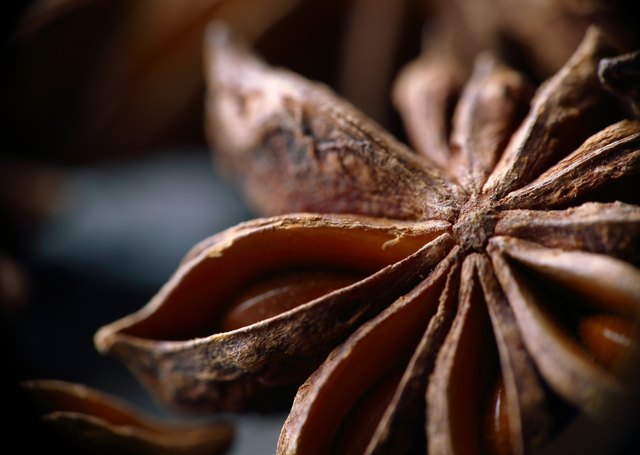 Star anise seeds. Macro