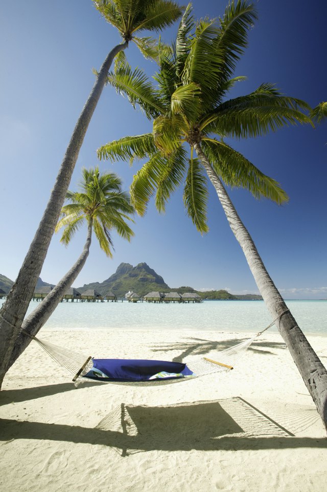 French Polynesia, Tahiti, Bora Bora, Bora Bora Pearl Resort, A hammock hanging between two palm trees