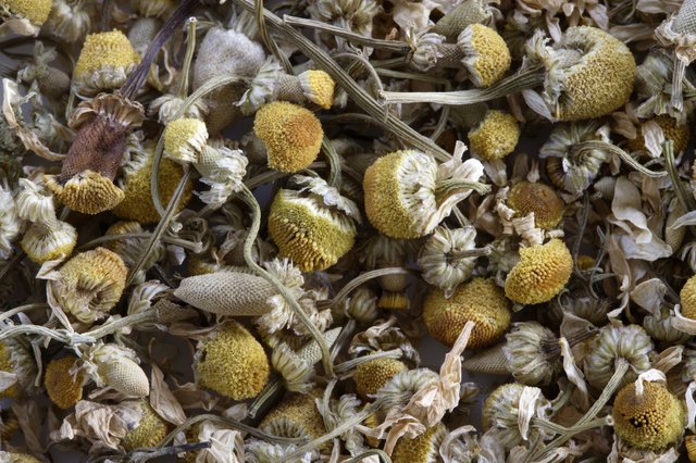 German chamomile tea leaves