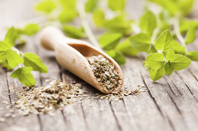 Oregano Tea Benefits | Livestrong.com