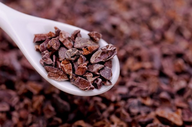 Organic raw cocoa nibs