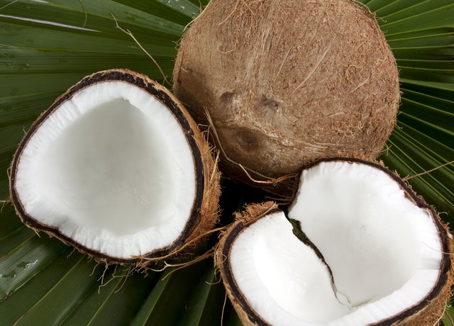 Coconut