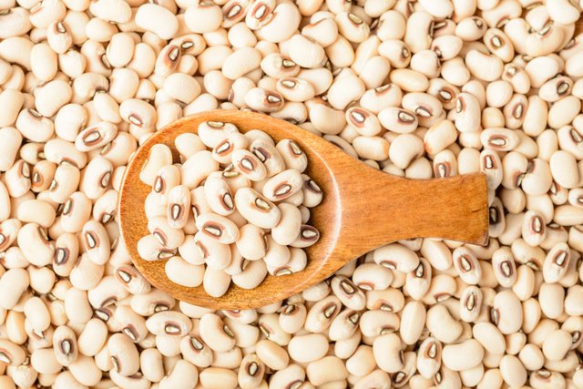 uncooked white cow pea beans in wooden spoon, top view