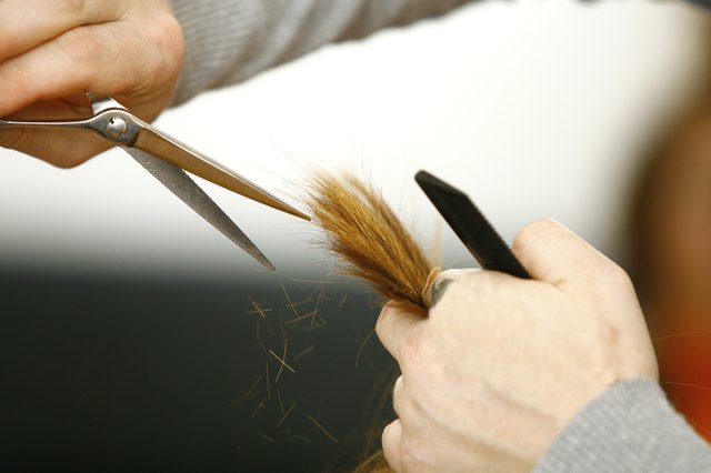 Professional hairdresser with long hair model