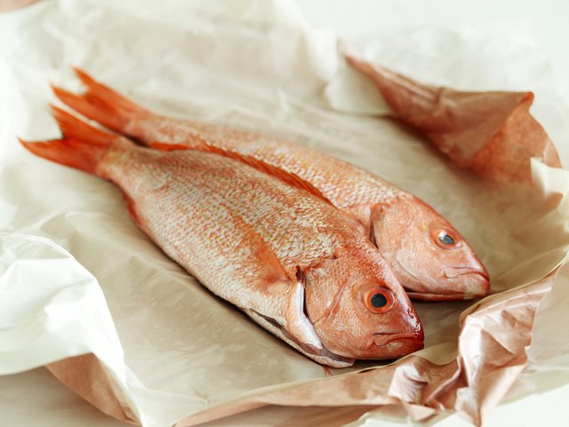 Fish Market