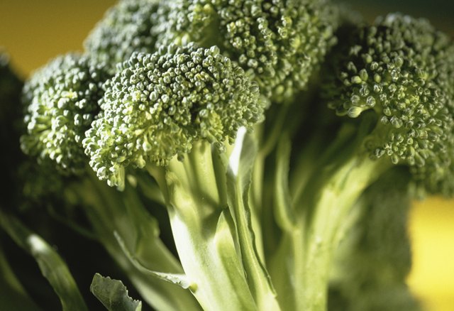 Close-up of broccoli florets