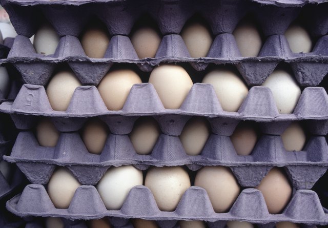 Egg palettes, (Close-up)
