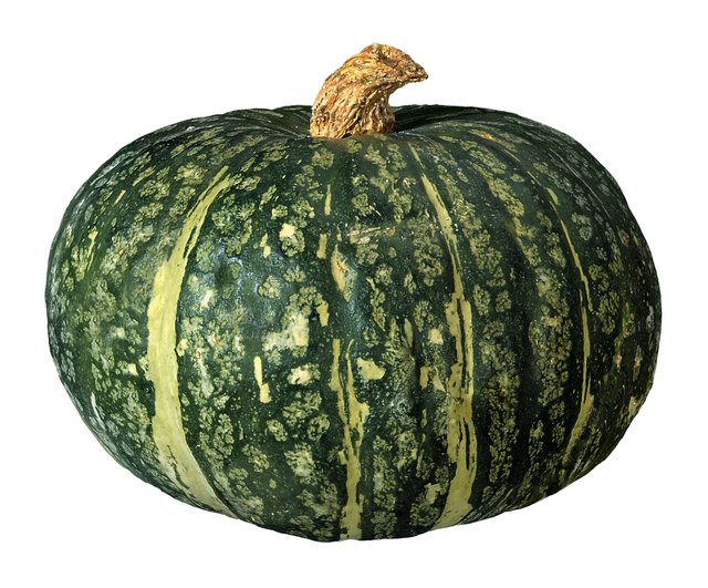 Squash