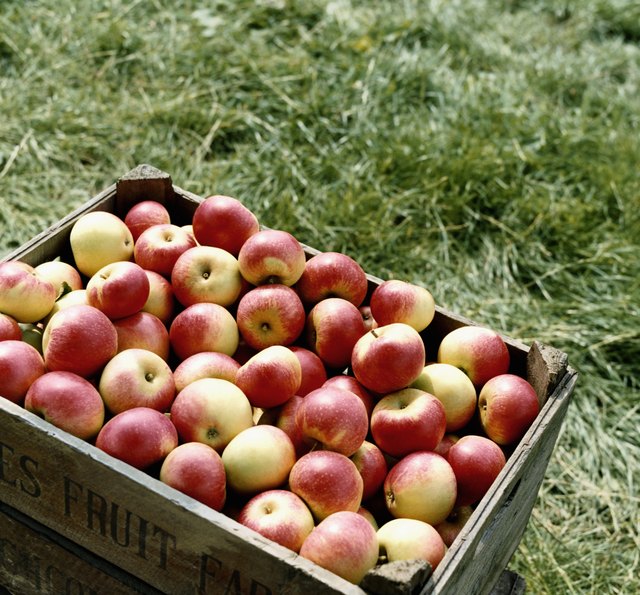 Do Apples Raise Your Blood Sugar? livestrong