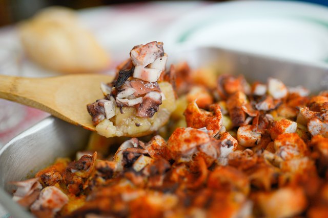 Octopus food