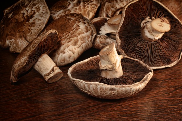 Closeup of fresh portobello mushrooms