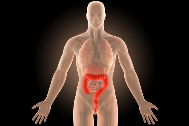 how-soon-after-a-colonoscopy-can-you-eat-livestrong