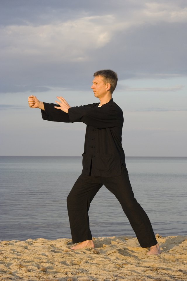tai chi - posture punch