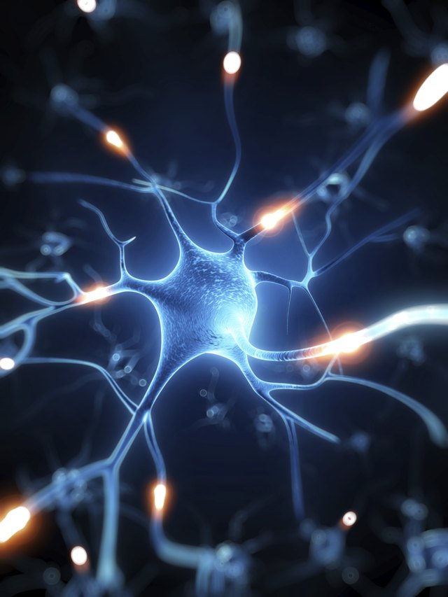 active nerve cell illustration