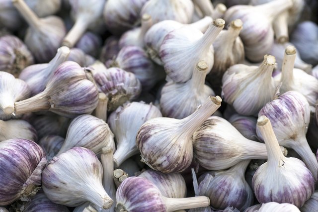 Garlic at a market