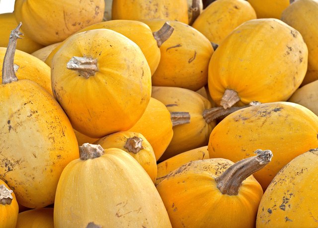 meat-that-goes-well-with-spaghetti-squash-livestrong