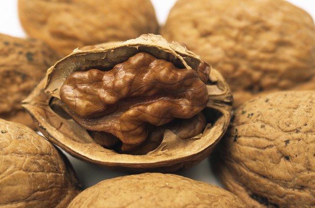 Walnut
