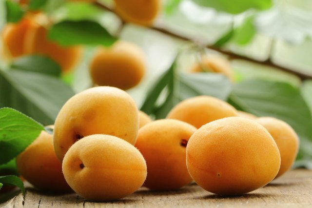 ripe juicy fruit apricot with leaves