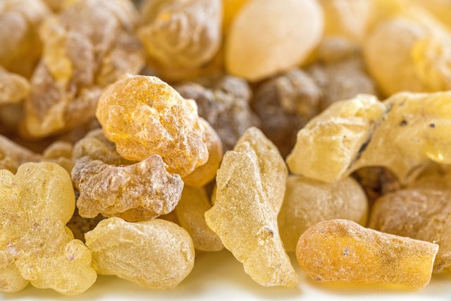Olibanum, Boswellia serrata