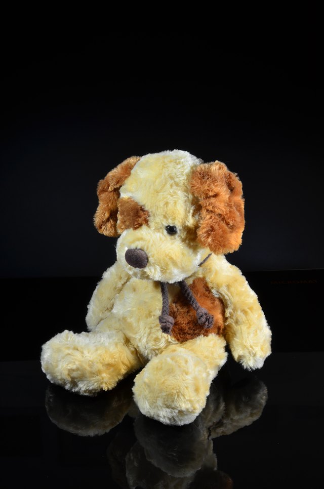 Teddy bear