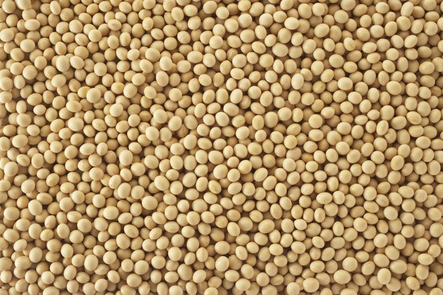Heap of soybeans, close up, full frame
