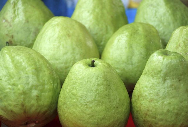 Fresh Green Guavas