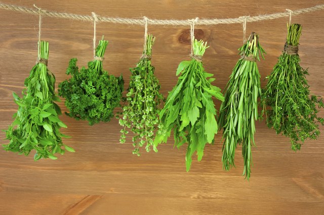 Fresh Herbs Collection / Vintage Style