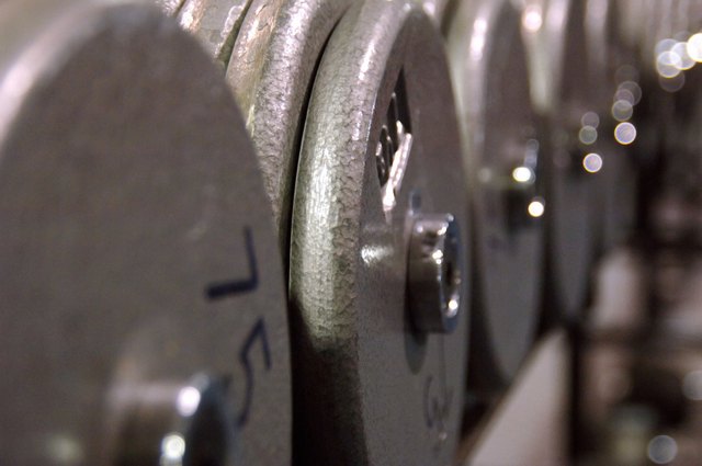 Row of weights in fitness club.