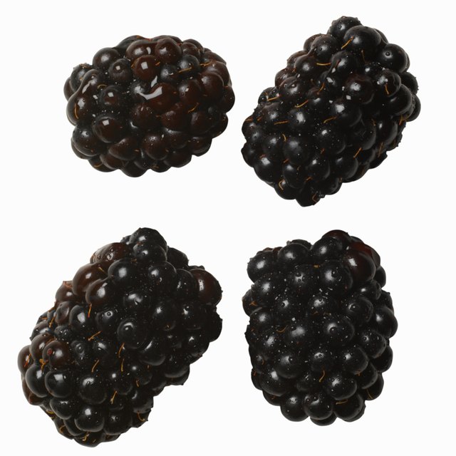 Close-up of blackcurrants