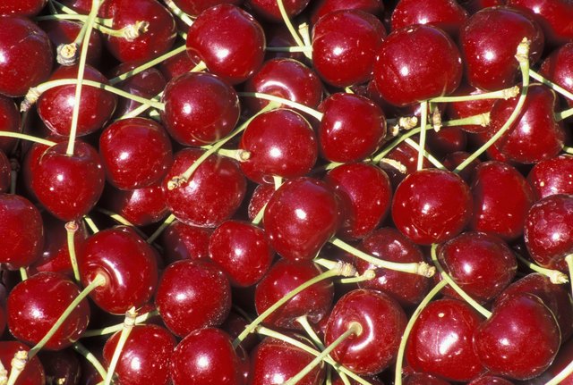 Fresh Bing Cherries Nutritional Information | Livestrong.com