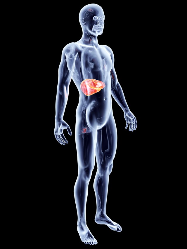 Types of Liver Cirrhosis | Livestrong.com