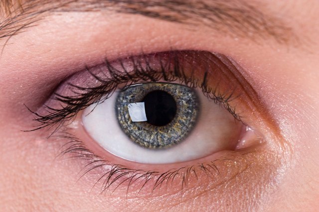 eye