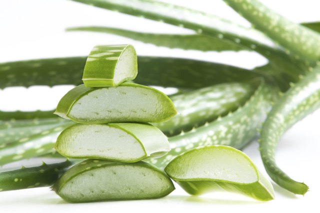 Aloe.