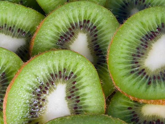 Slices of kiwi