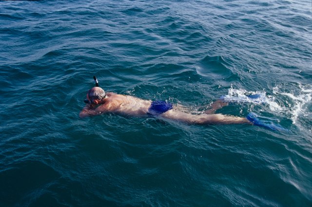 Diving