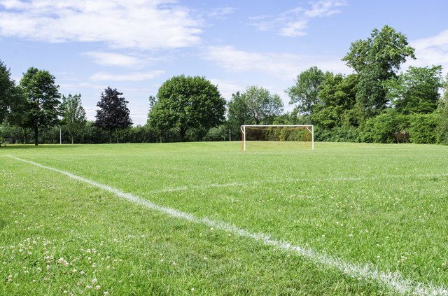 Sunny Soccer Field