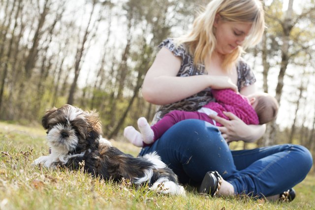 Mother is feeding the baby while puppy is waiting