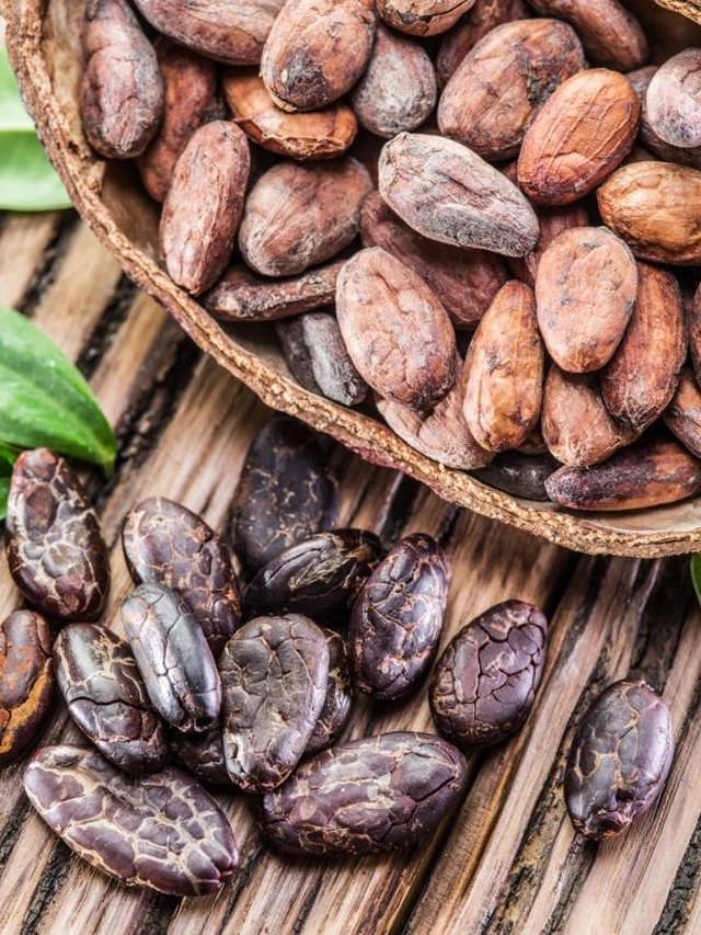 Cocao pod and cocao beans on the wooden table.