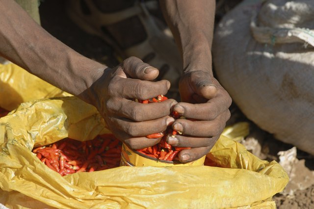 Buying red hot Chili Peppers at a market in Ethiopia