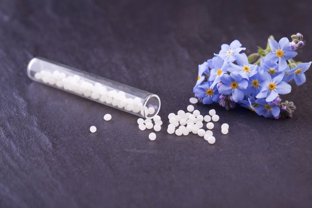 myosotis globule