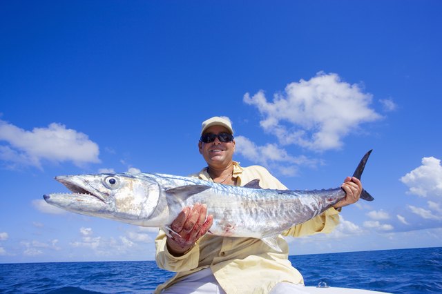 Man posing with freshly caught king mackerel, portrait