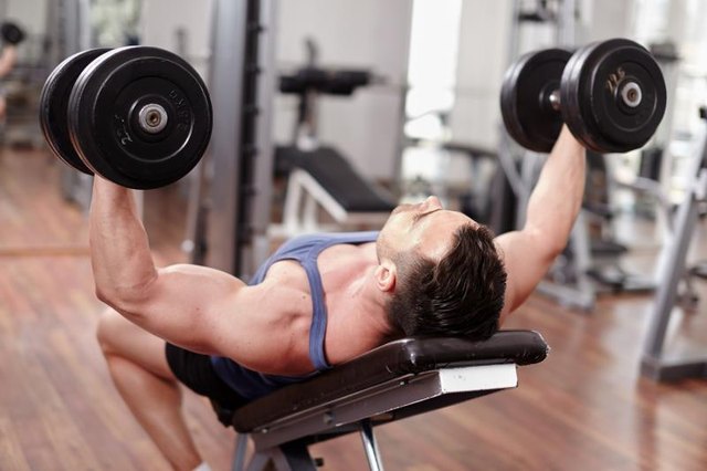 Athletic man working out his chest with dumbbells on a bench press