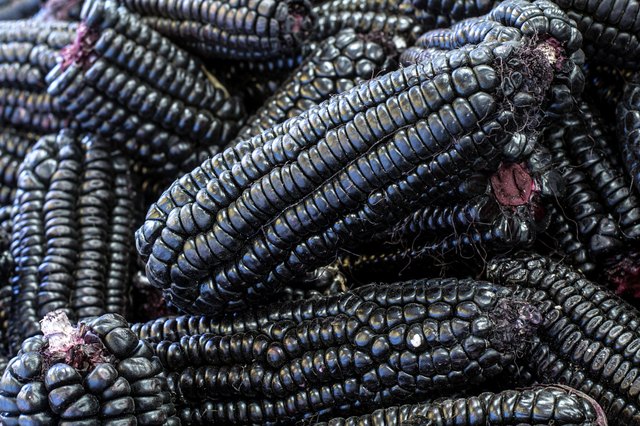 Peruvian purple corn, mainly used to prepare juice (chicha)