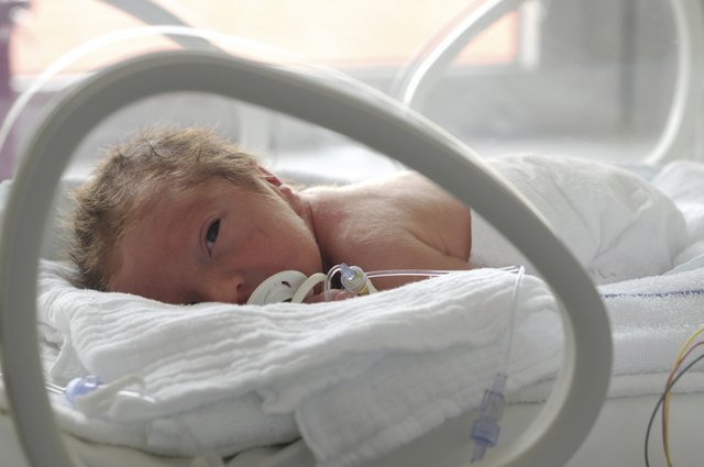 Newborn baby in incubator